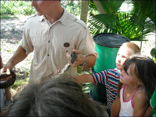 Crocodile farm