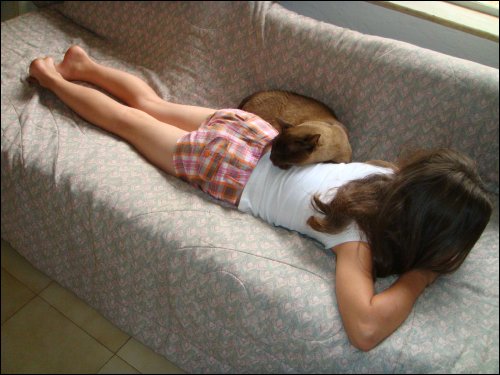 Tiffiny and the cat takes a nap in the sun
